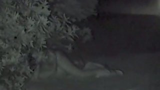 Housewife couple sex in the bushes in a public park at night